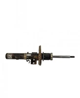 Skoda Roomster (5J) Front shock absorber/damper 6Q0412141G