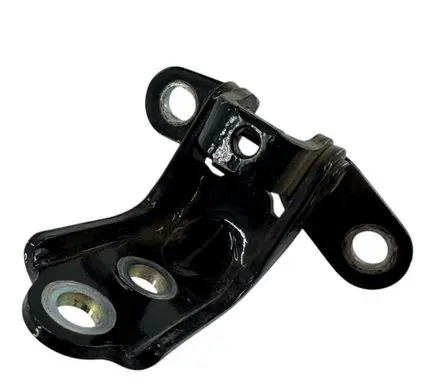 Rear door lower hinge