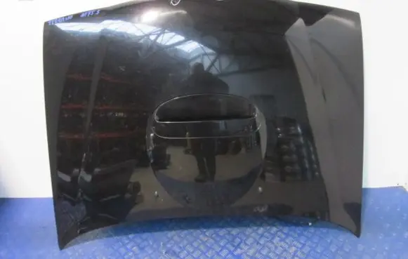 Nissan Terrano Engine bonnet/hood