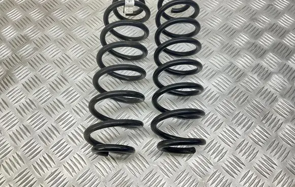 Rear coil spring