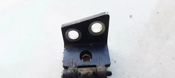 Citroen Xsara Rear door lower hinge
