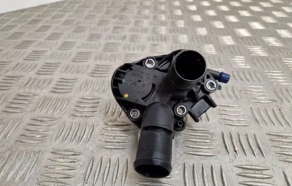Thermostat/thermostat housing