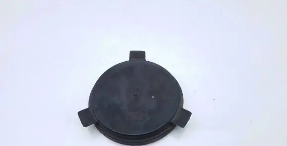 Volkswagen Touareg I Headlight/headlamp dust cover 89027363