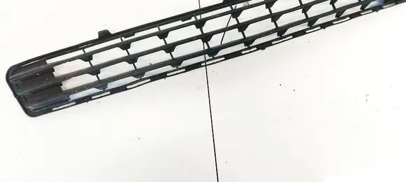 Mercedes-Benz C AMG W204 Front bumper lower grill A2048850023
