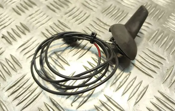 Renault Espace IV Radio antenna 