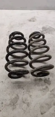 Rear coil spring