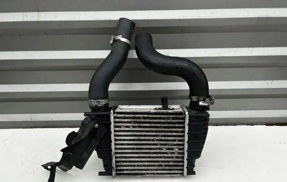 Nissan Juke I F15 Intercooler radiator 14461EM00A