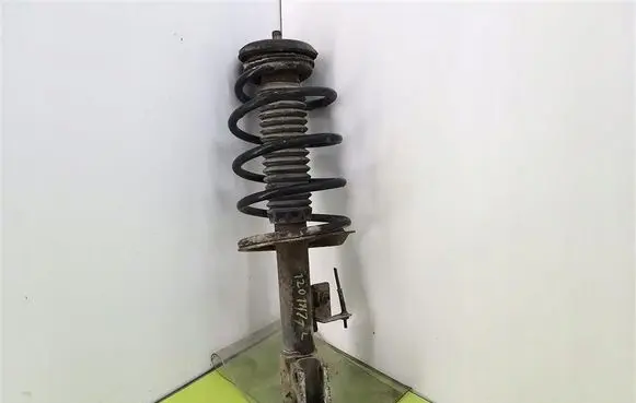 Peugeot 206 Front shock absorber with coil spring 