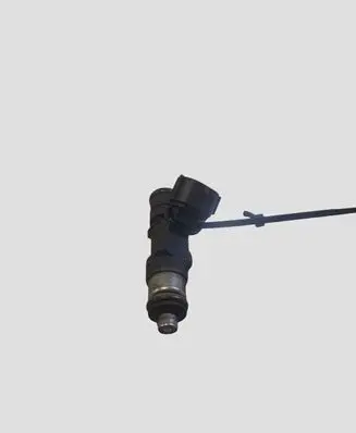 Citroen C5 Fuel injector 0280158041