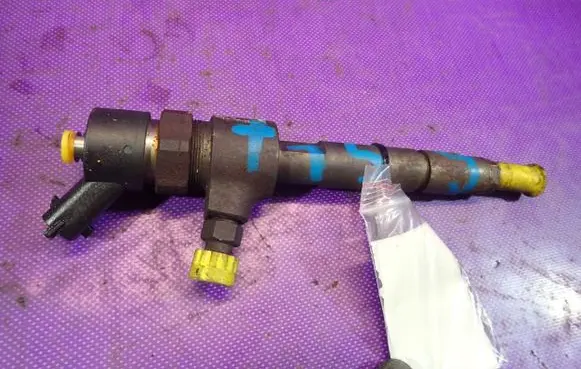 Fiat Multipla Fuel injector 0445110119