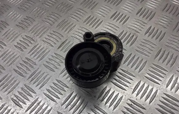 Renault Megane II Alternator belt tensioner pulley 
