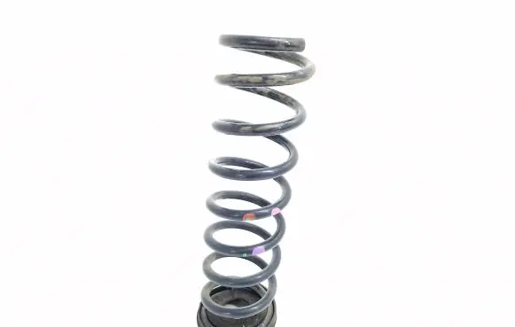 Ford Kuga II Rear coil spring