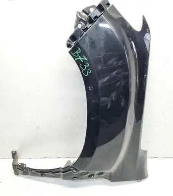 Dacia Duster II Fender 631011252R