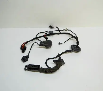 Audi A4 S4 B8 8K Other wiring loom 8K0971688AC