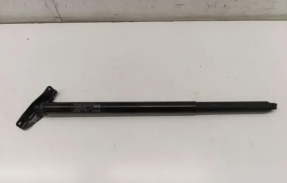 Tailgate/trunk strut/damper