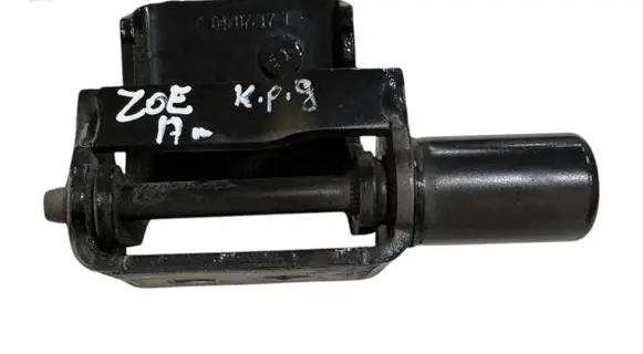Renault Zoe Rear door lower hinge C040717T