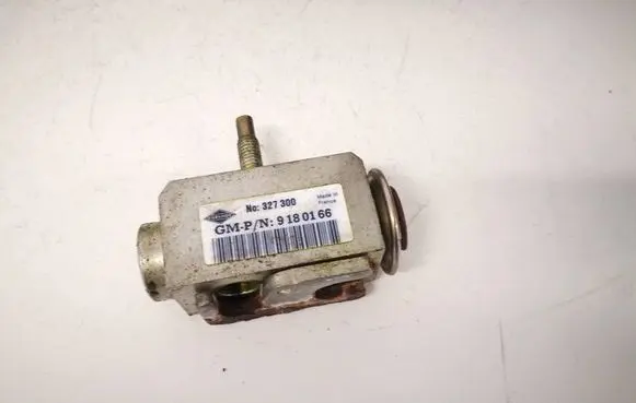 Opel Signum Air conditioning (A/C) expansion valve 9180166