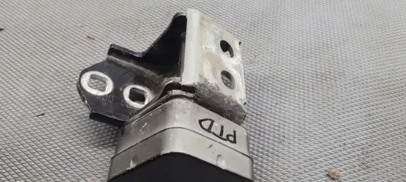 Renault Megane II Rear door hinge set 