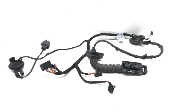Audi A5 Sportback 8TA Rear door wiring loom 8T8971687J 31072009 TAB010766QJ