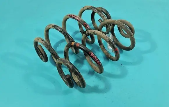 Rear coil spring