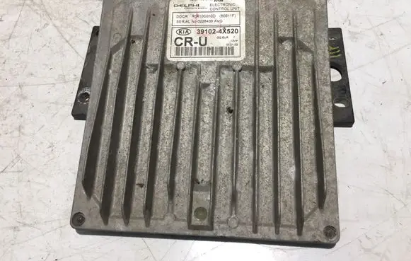 KIA Carnival Engine control unit/module 391024X520