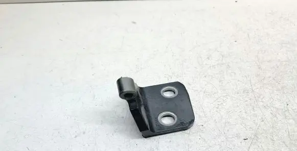 Rear door lower hinge