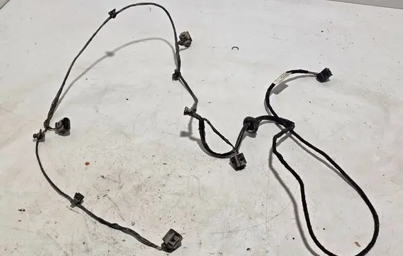 Audi A6 S6 C6 4F Parking sensor (PDC) wiring loom 4F0971085 Z281005 EA039920