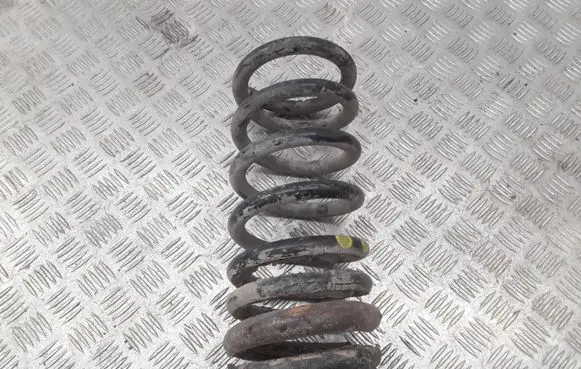KIA Carnival Rear coil spring
