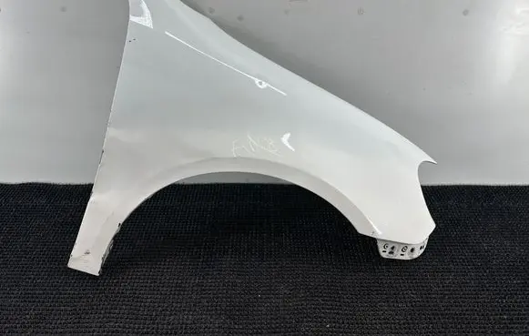 Volkswagen Golf VI Fender