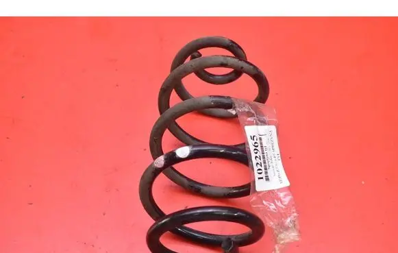 Rear coil spring