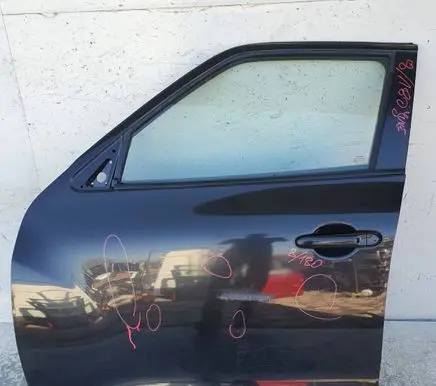 Nissan Juke I F15 Front door