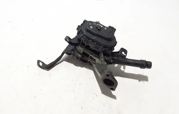 Peugeot Expert EGR valve 9833095880