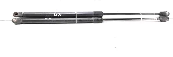 Nissan Micra Tailgate/trunk strut/damper 90450AX60A