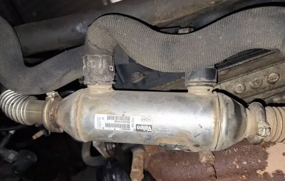 EGR valve cooler
