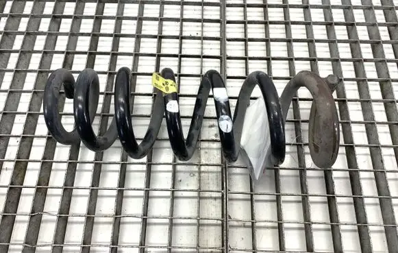Rear coil spring