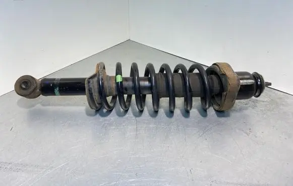 Mitsubishi Outlander Rear shock absorber/damper 4162A304