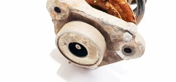Coil spring mount