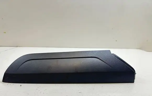 Rear/tail light trim molding