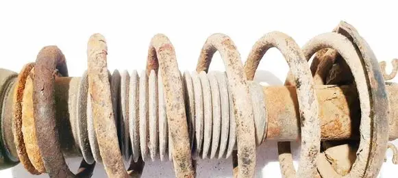 Volkswagen Bora Front coil spring 