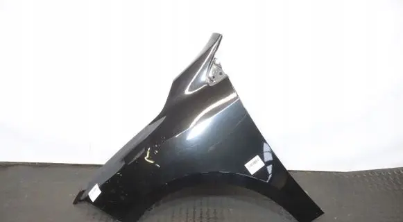 Renault Fluence Fender
