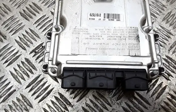 Peugeot 406 Engine control unit/module