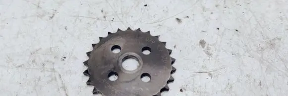 Audi A4 Allroad Timing chain sprocket 079109570AB