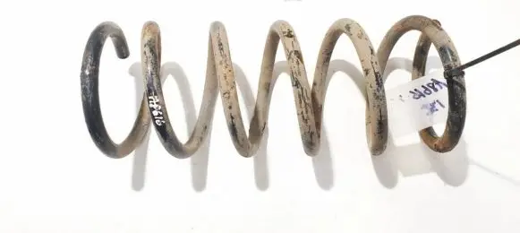 Rear coil spring