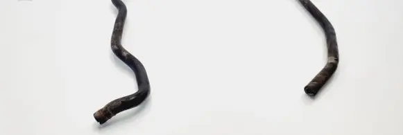 Ford Focus C-MAX Engine coolant pipe/hose 3M5H8C012FG