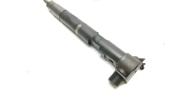 Mercedes-Benz E W212 Fuel injector A6510700587 EMBR00002D 093370199871