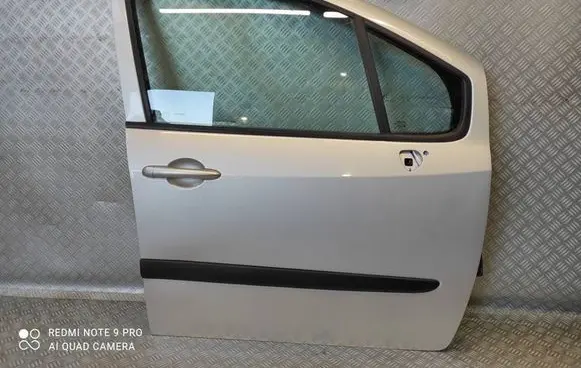 Renault Modus Front door