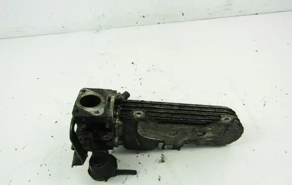 Volkswagen Golf IV EGR valve cooler 038131513D