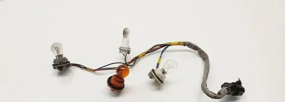 KIA Carnival Tail light bulb cover holder