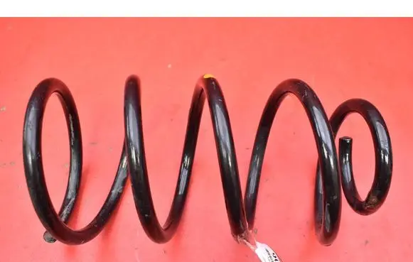Front coil spring
