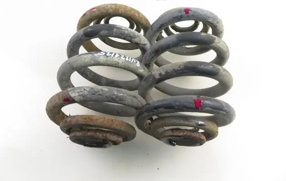 Rear coil spring